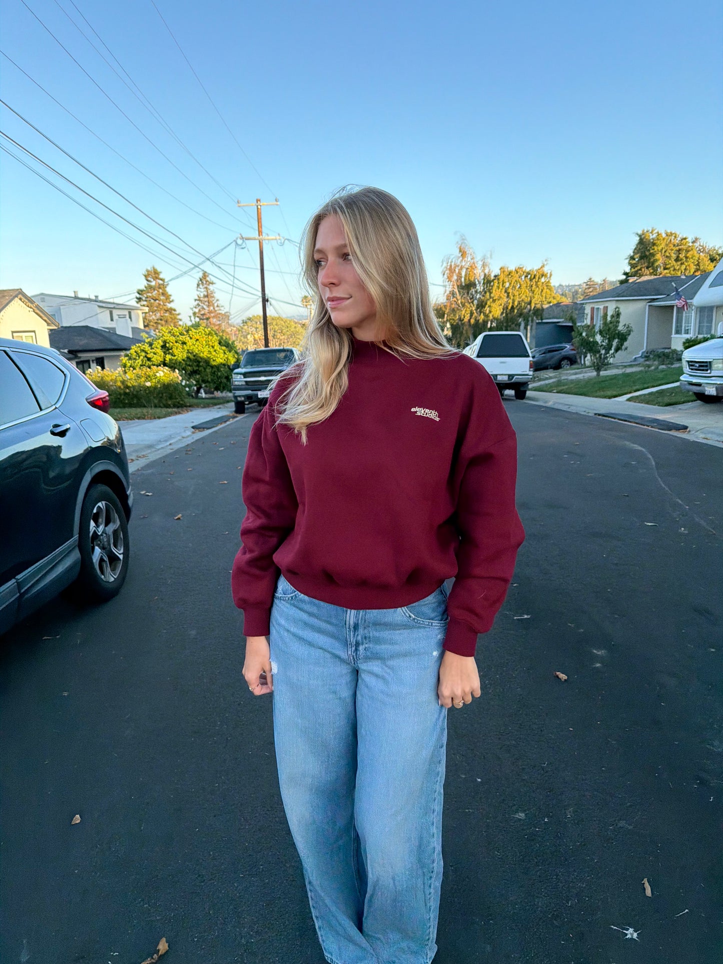 The high neck sweater burgundy